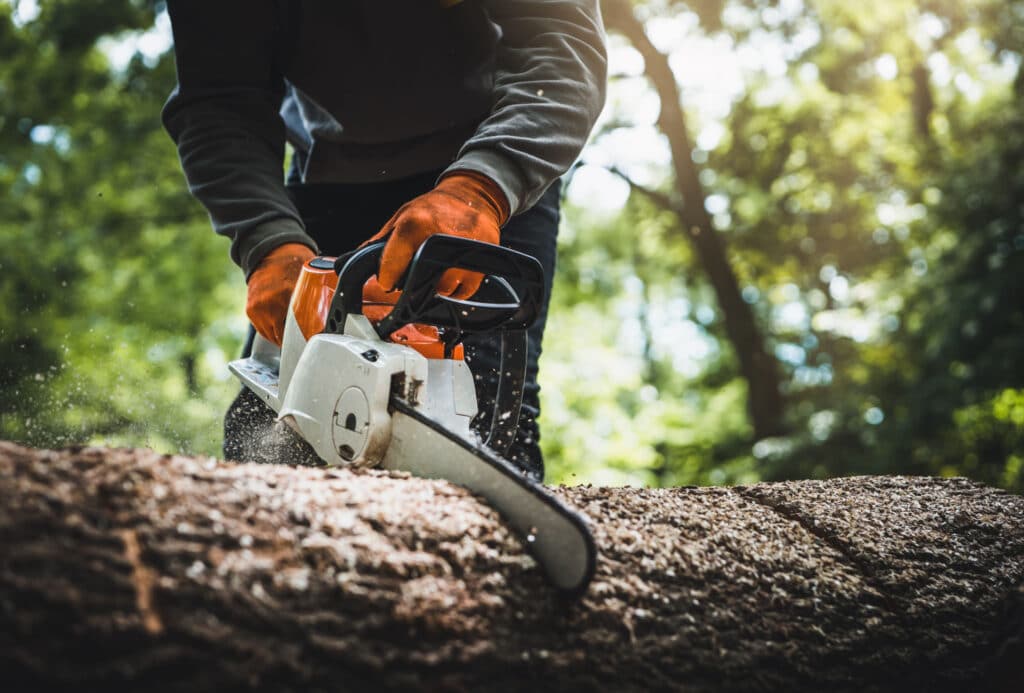 mann med motorsag som sager i trestokk